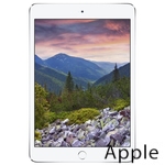 Ремонт Apple iPad mini 2 в Иркутске