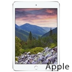 Ремонт Apple iPad mini 3 в Иркутске