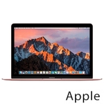 Ремонт Apple MacBook Mid в Иркутске