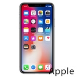 Ремонт iPhone X(10) в Иркутске